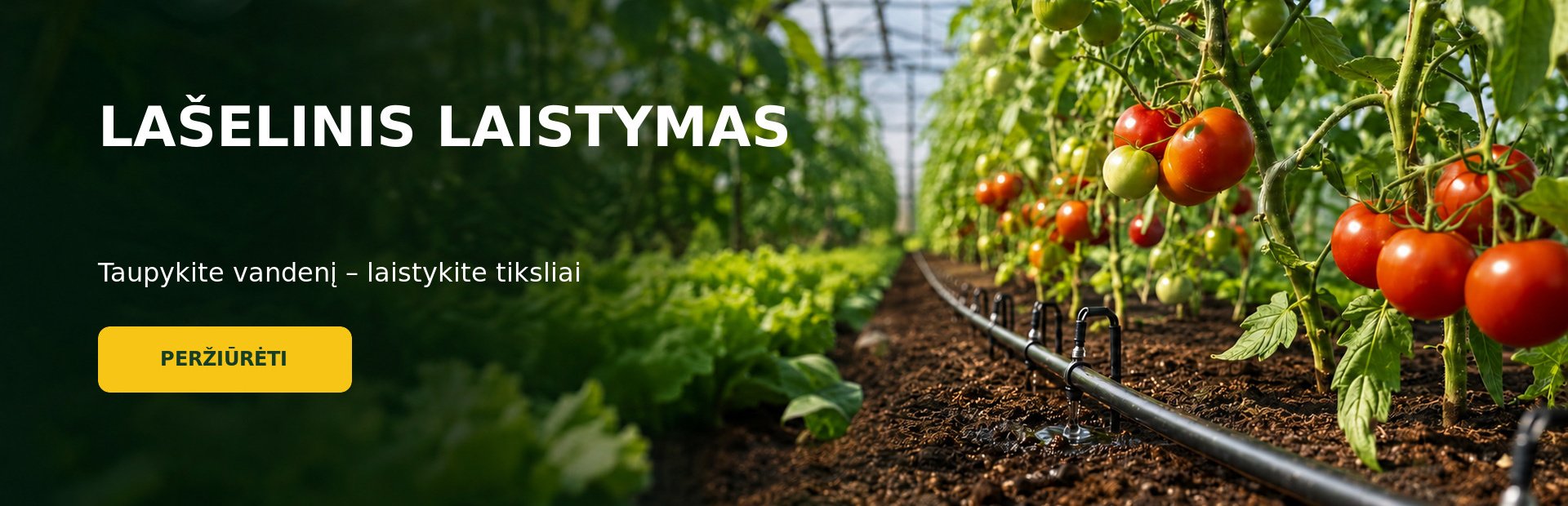 Lašelinis laistymas