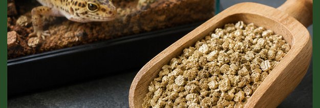 Vermikulitas augintiniams. Hobis.