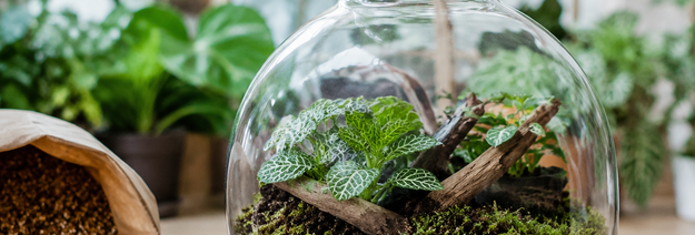 Vermikulitas terariumams ir akvariumams