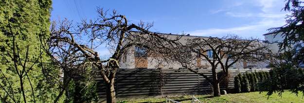 Vaismedžių genėjimas