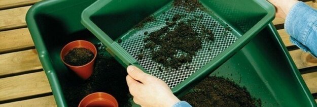 Sėklų daiginimas: nuo mažos sėklos iki stipraus augalo