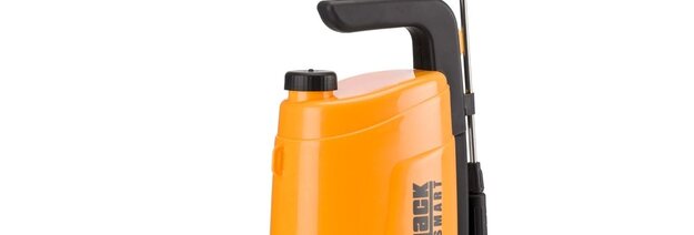 Kada purkšti vaismedžius variu: tinkamas laikas ir taisyklės