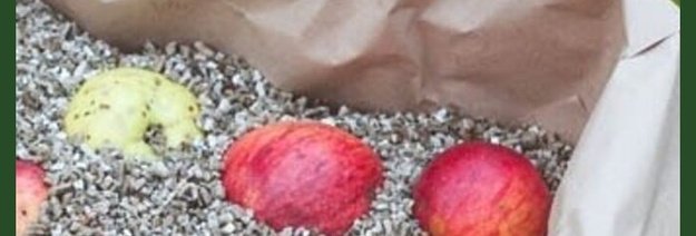 Vermikulitas sodininkystėje ir daržininkystėje