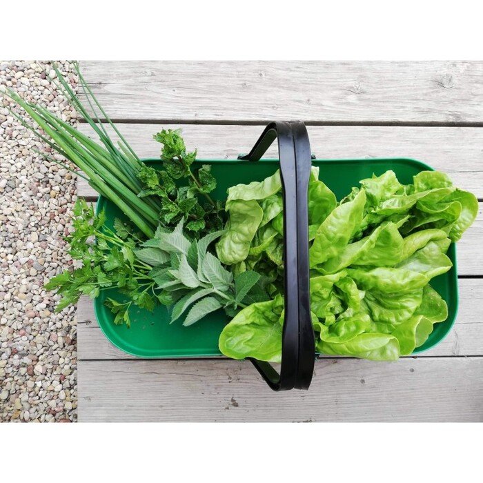 Krepšelis-sietelis, 56 x 31 cm 31