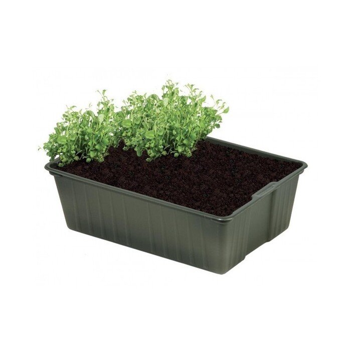 Suyrantys stačiakampiai vazonai 10 x 14.5 cm (5 vnt.) 17