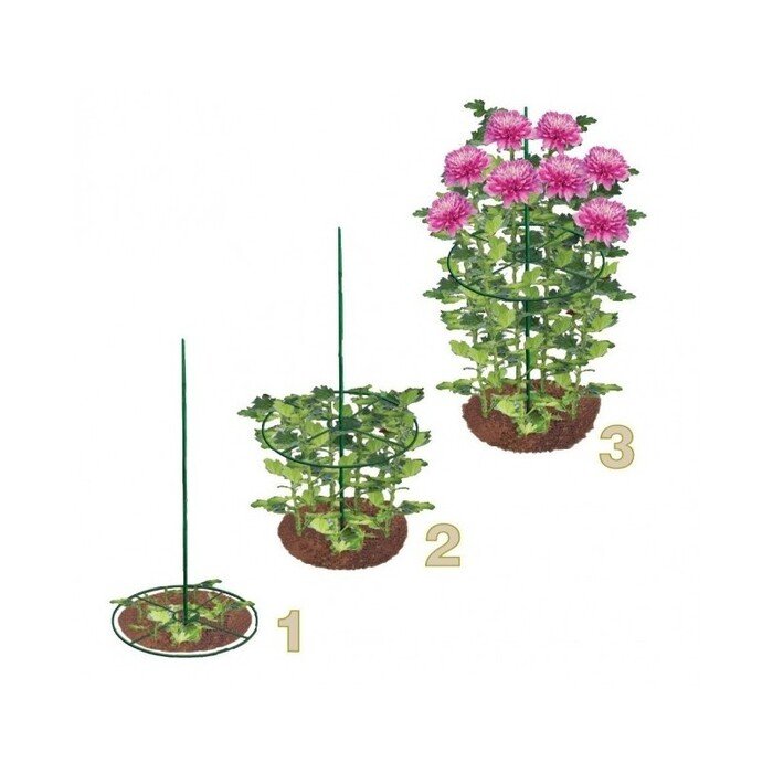 Apvali gėlių atrama 30 cm (2 vnt.)  9