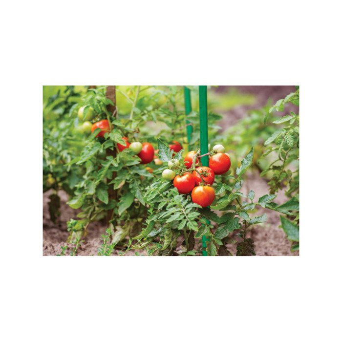 Kuoliukas 1,1cm x 100 cm 4