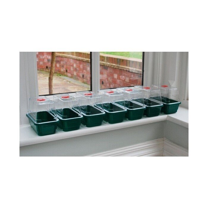 Šiltlysvių-daigyklų  Mini  rinkinys (3 vnt.) 17 x 10 cm 8