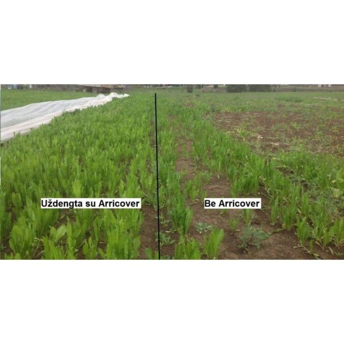 Arricover apsauginis tinklas 2 x 10m 21