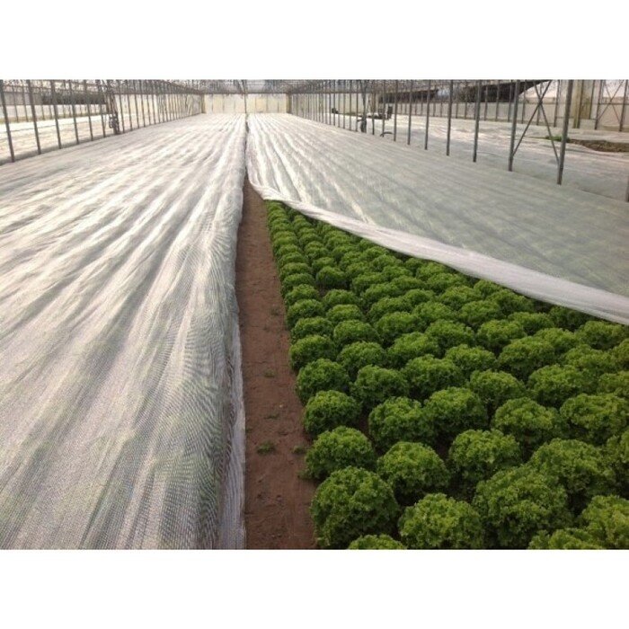 Arricover apsauginis tinklas 2 x 10m 19