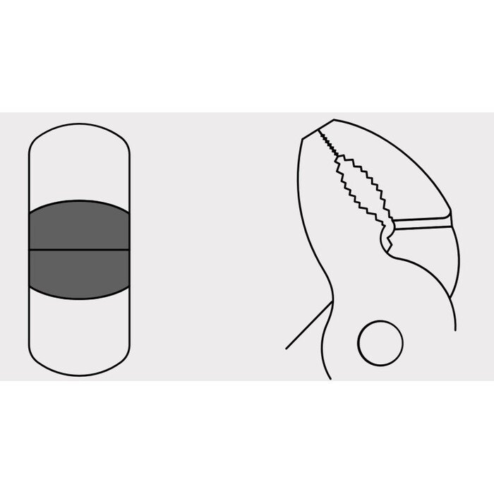 Profesionalios replės, 25 cm TRUPER Expert 7