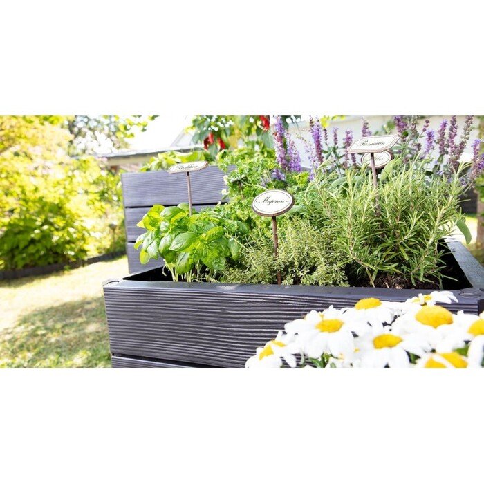 Pakelta lysvė ERGO Quadro L 9