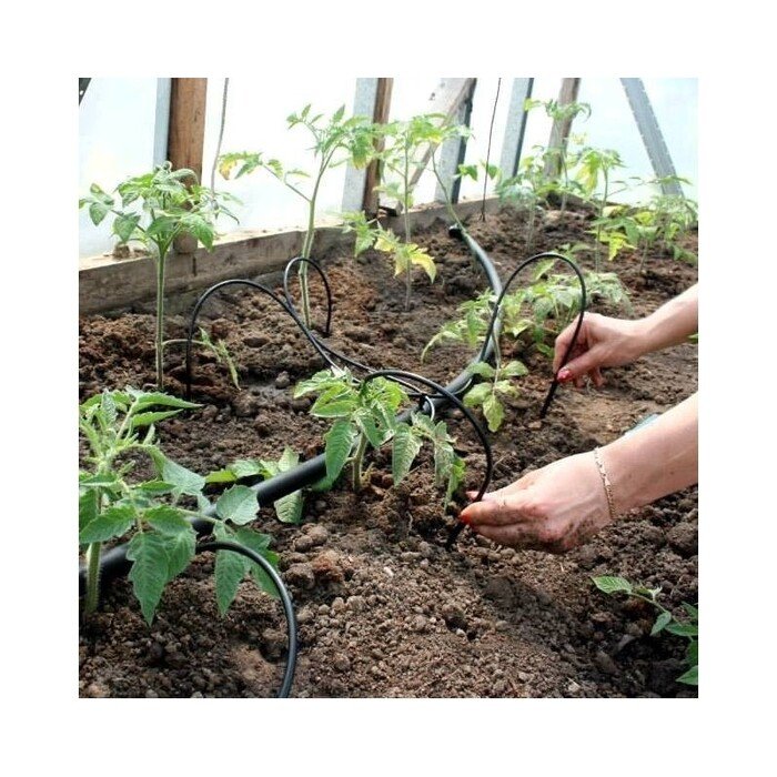 Papildymas laistymo sistemai  Dvikojis +  gravitacinis 11