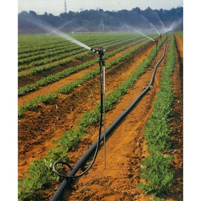 Purk&scaron;tuvas 5022 PC, sektorinis 6