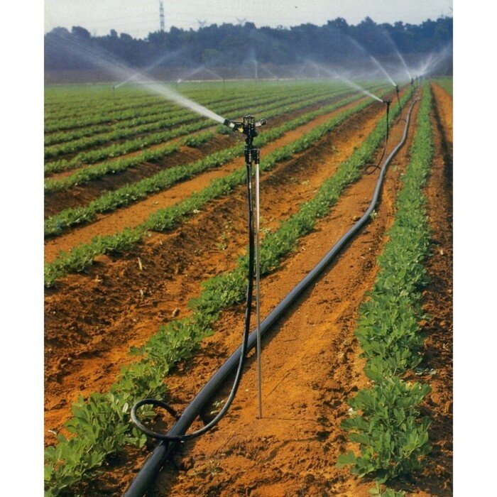 Purk&scaron;tuvas 427 GAG 3,0mm, sektorinis 1