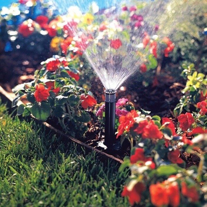 Antgalis Pro-van 8 5