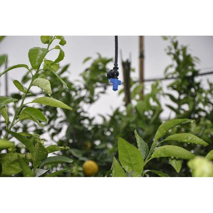 Mikropurk&scaron;tuvas Green Mist 10