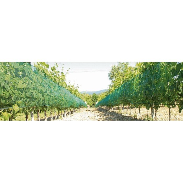 Tinklas nuo pauk&scaron;čių ir kru&scaron;os 2x10m (46 g/m&sup2;) IRIDE DUE 5