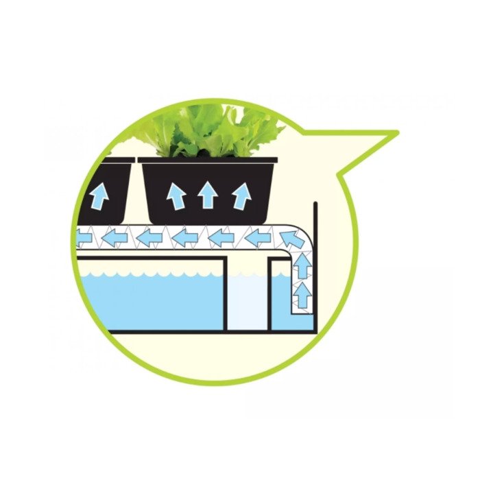 &bdquo;Micro Grow Light Garden&ldquo; daigykla 8W Balta 11