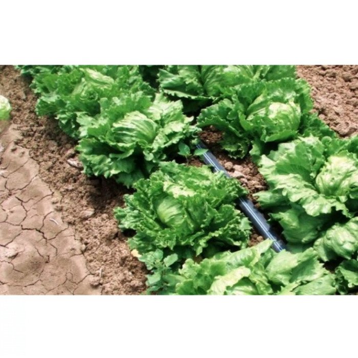 Juosta Aqua-Traxx 8mil x 20cm (2500m) 13