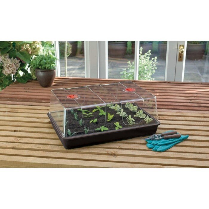 Daigykla XL High Dome, juoda 3