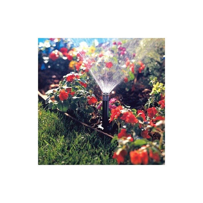 Antgalis Pro-van 10 7