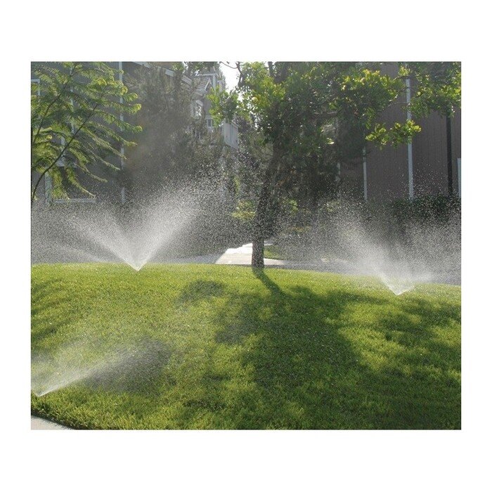 Antgalis Pro-van 10 6