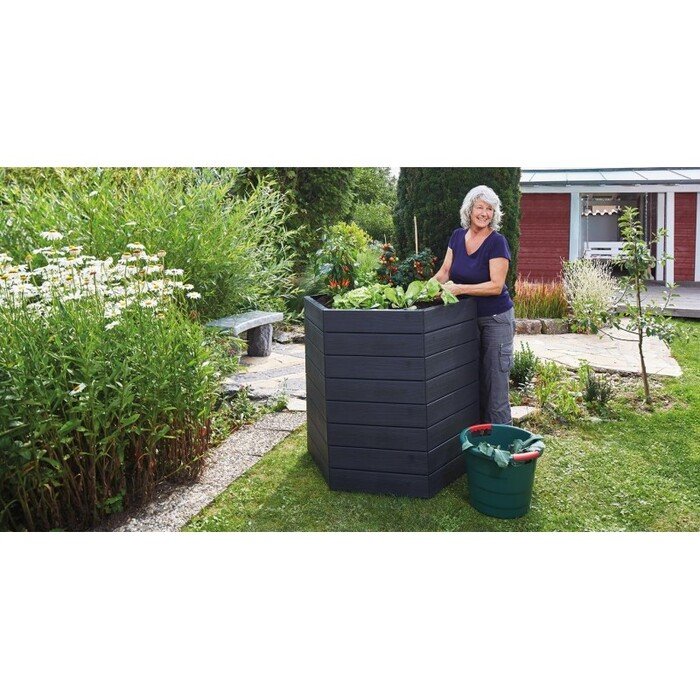 ERGO pakelta lysvė 13