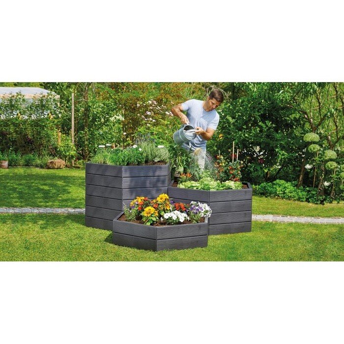 ERGO pakelta lysvė 12