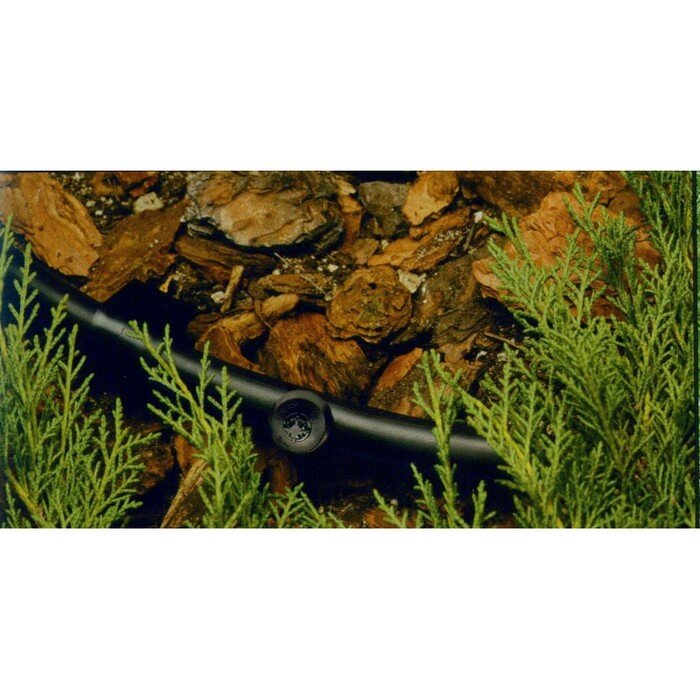 La&scaron;intuvas NGE 2 l/val. 13