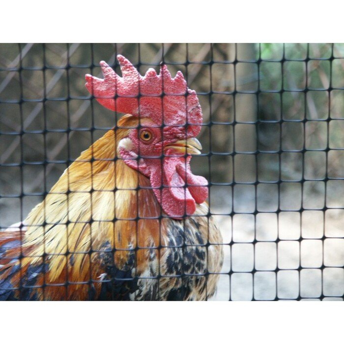 Tinklas nuo kurmių 1 x 200 m (60 g/m&sup2;) VOLIERE 8