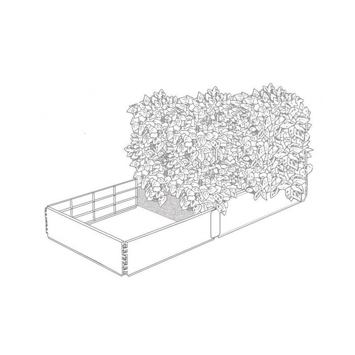 Pakeltos lysvės  Grow  prailginimas 5