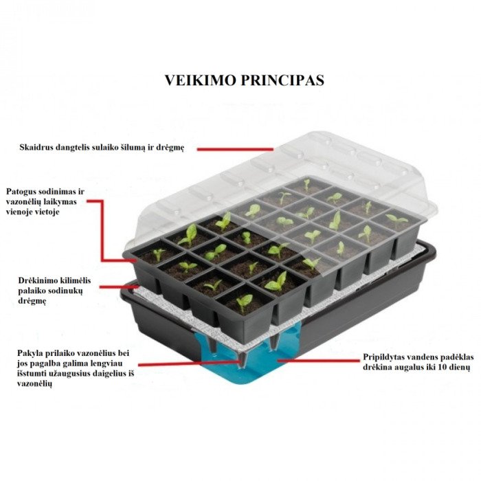Daigykla su laistymu 37,5 x 13,5 cm 12