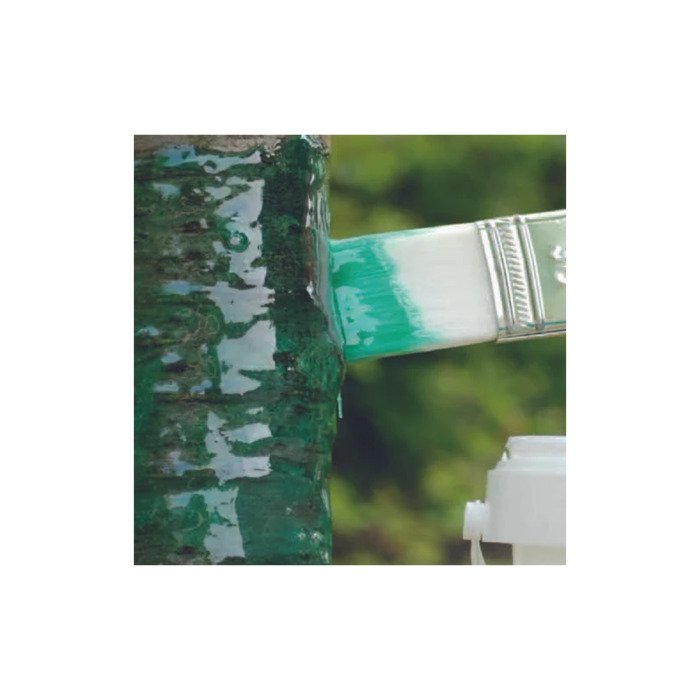 Schacht klijai nuo kenkėjų 1 kg 4