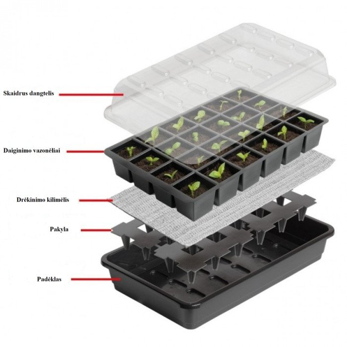 Daigykla su laistymu 37,5 x 23 cm 11