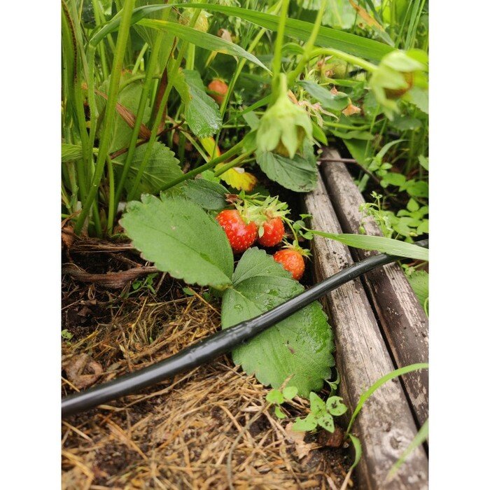 Laistymo rinkinys  Pakeltos lysvės 