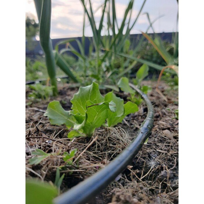 Laistymo rinkinys  Pakeltos lysvės 