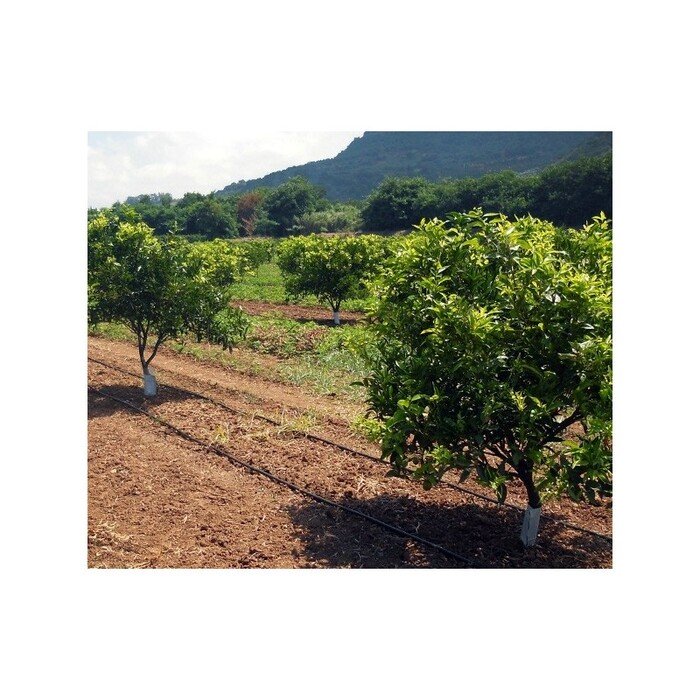 La&scaron;elinis vamzdis Drip-In 44mil x 30 cm (100m) 26