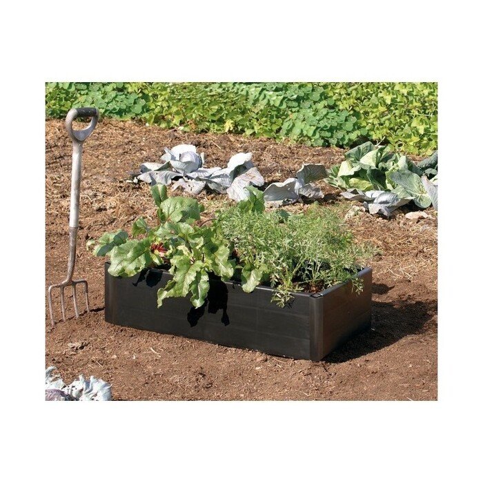 Pakelta lysvė  Mini Grow  7