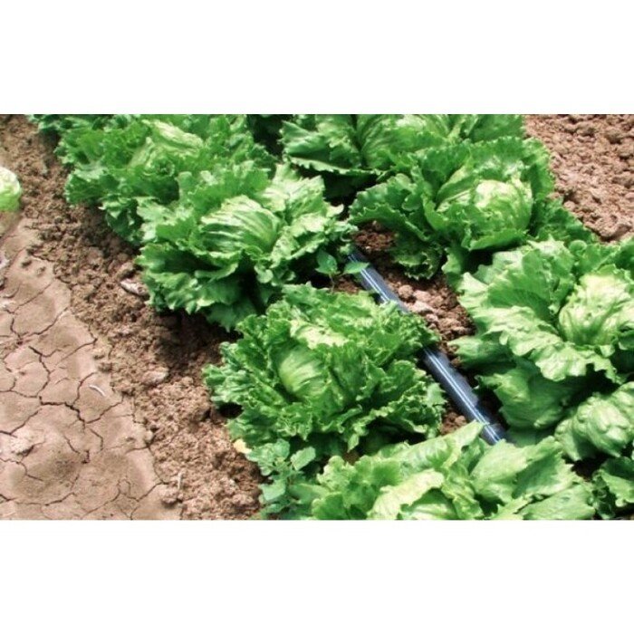 Juosta Aqua-Traxx 6mil x 10cm (3300m) 13