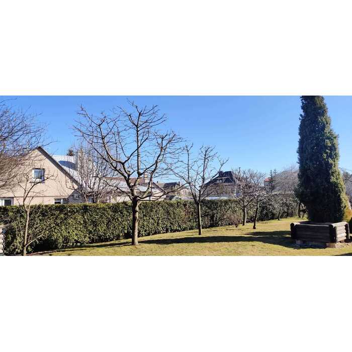 Vaismedžių genėjimas 2