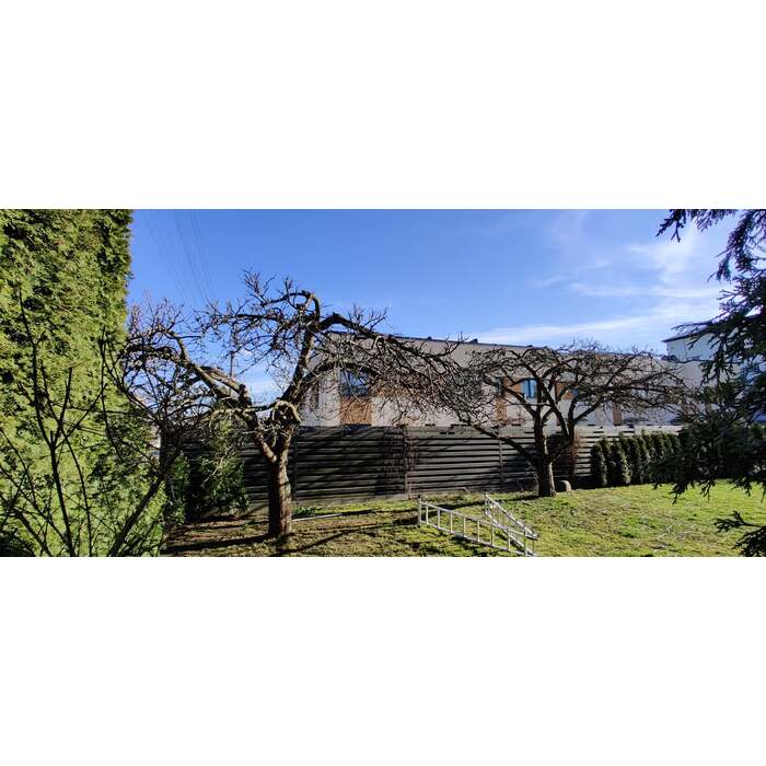 Vaismedžių genėjimas 6