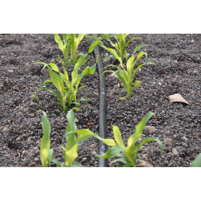 La&scaron;elinis vamzdis Drip-In 44mil x 30 cm (25m) 22