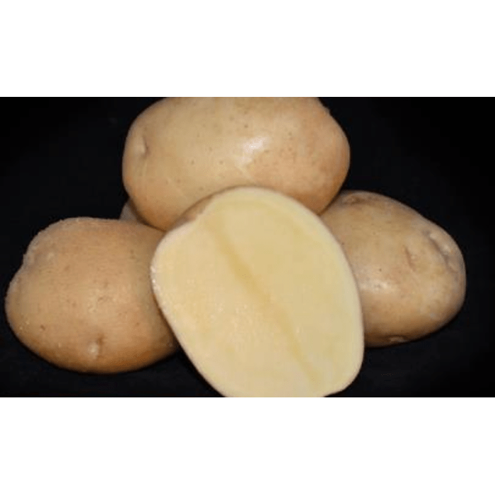 Sėklinės bulvės MADRID, 35/55 mm, 5 kg.