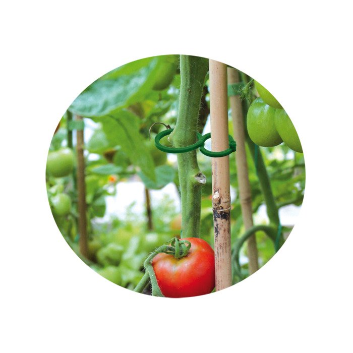 Segtukai 2 dydžių 6