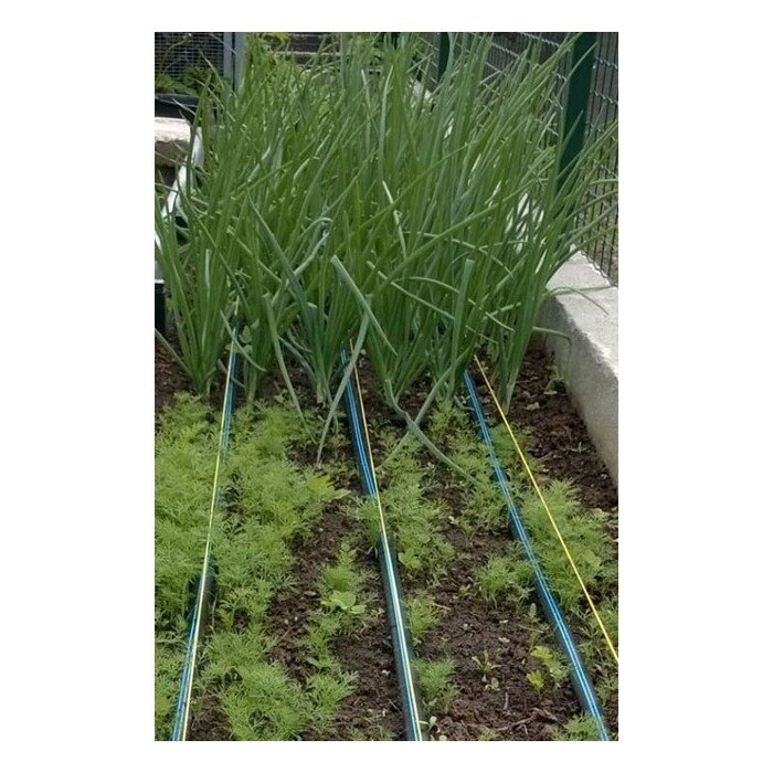 .&Scaron;iltnamio laistymo sistema  Juosta  vandentiekiui 16