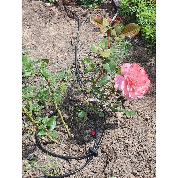 La&scaron;elinis vamzdelis M Drip