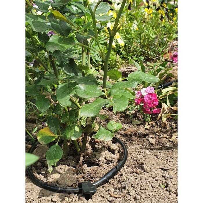 La&scaron;elinis vamzdelis M Drip