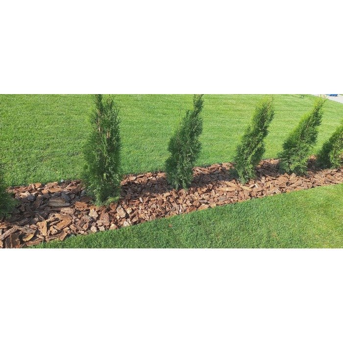 Aplinkos apželdinimas 2