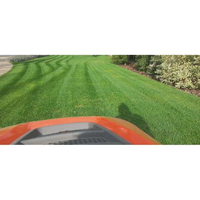 Aplinkos apželdinimas